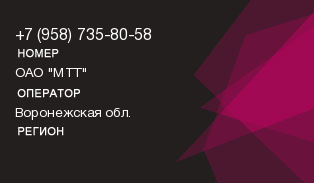 9587358058